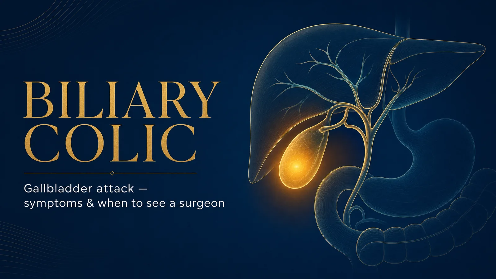 Navy and gold illustration of the liver, gallbladder and bile ducts, with the gallbladder glowing amber to represent a biliary colic (gallbladder attack).