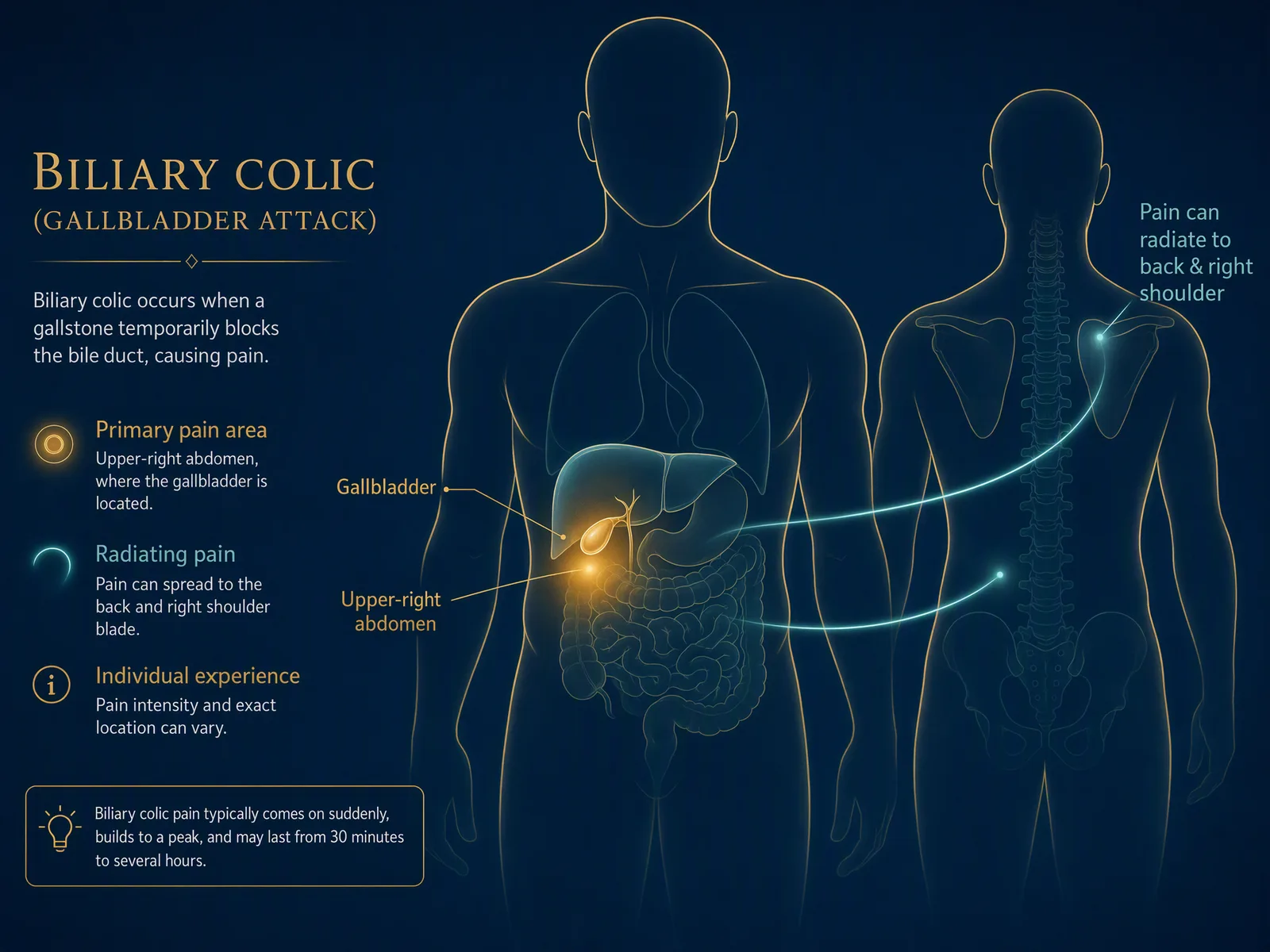 Educational diagram of the body from the front and back showing biliary colic pain: the gallbladder, tucked under the liver in the upper-right abdomen, is highlighted as the main pain area, with the pain radiating to the back and right shoulder.