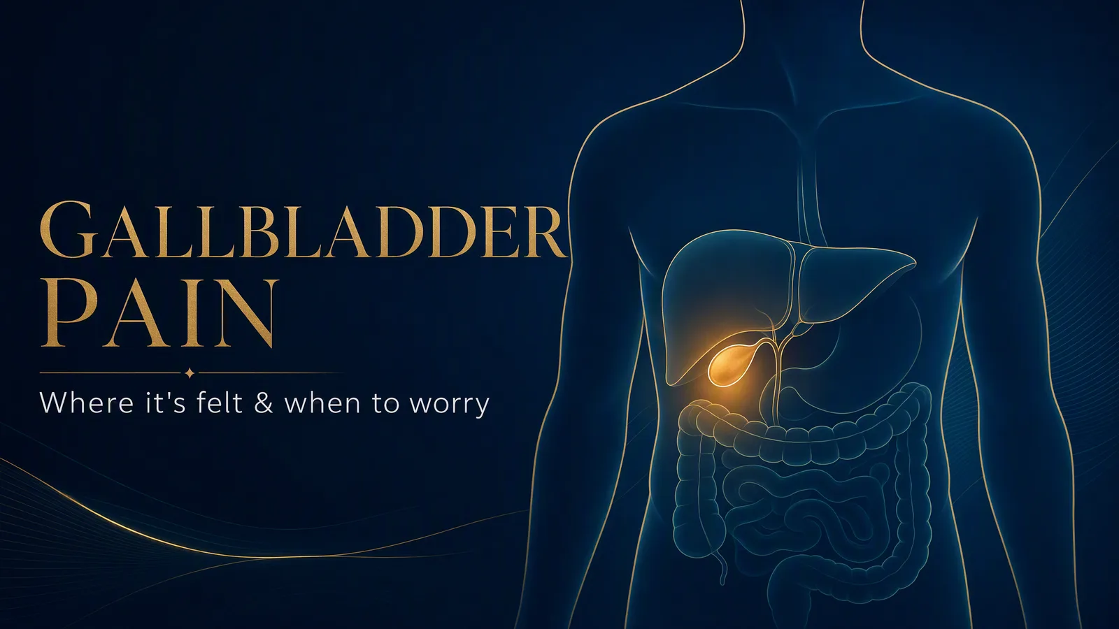 Navy and gold illustration of a body with the liver and gallbladder highlighted in the upper-right abdomen, beside the title Gallbladder Pain — where it’s felt.