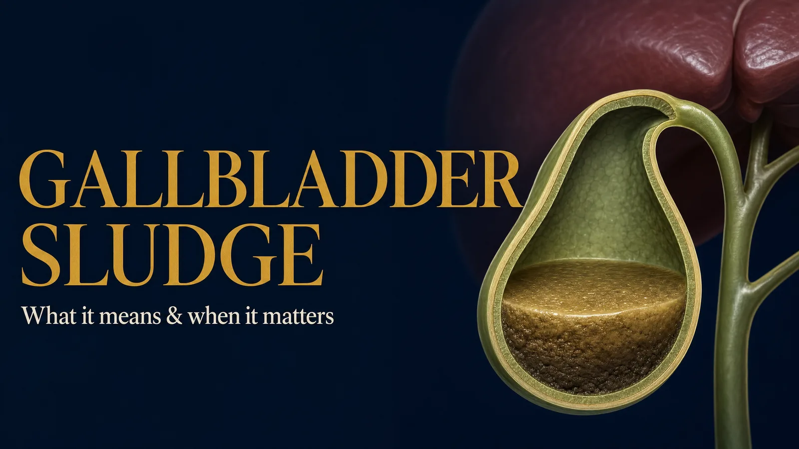 Title image ‘Gallbladder Sludge — What it means & when it matters’ showing a gallbladder cutaway with fine sediment settled inside, on a deep navy background.